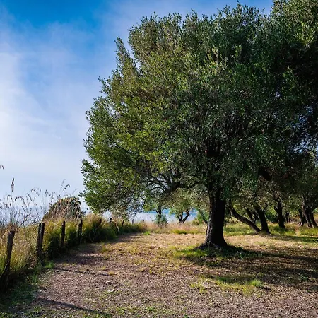 Casa Marechiaro Tatil Evi